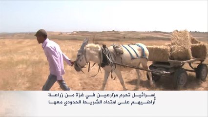 نيران الاحتلال تلاحق مزارعي غزة بالشريط الحدودي