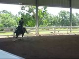 Horse Riding Lesson on TW 5-19-08