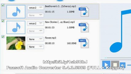 Faasoft Audio Converter 5.4.3.5989 (FULL + Keygen)