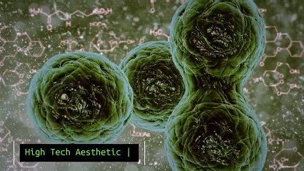 слайдшоу: технологии