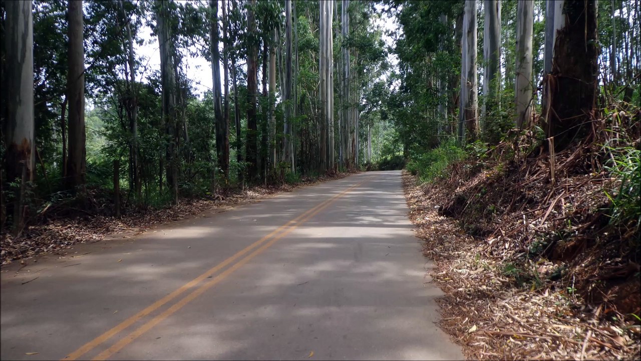 Aquela parada pra foto!!!