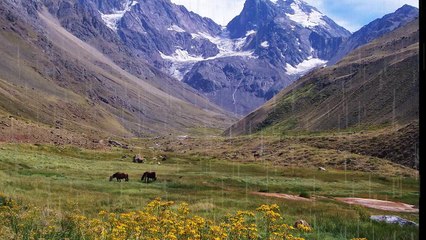 Andes Mountains