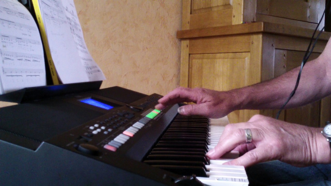 Strangers in the night d RUMBA COVER keyboard