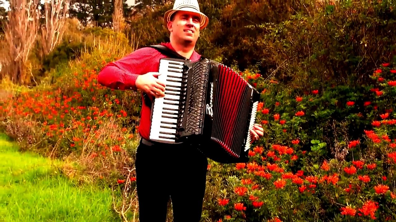 Tulips from Amsterdam