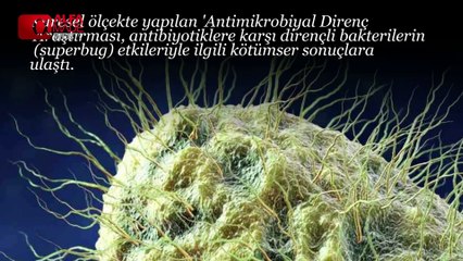 3 Saniyede Can Alan Bakteri