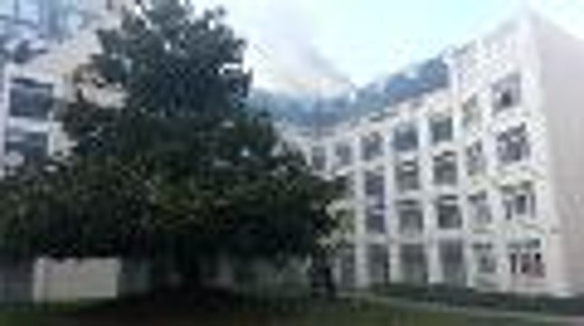 Bordeaux : incendie sur la rive gauche, des habitants évacués