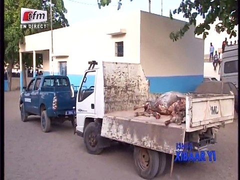 Technopole : deux hommes surpris entrain de dépécer un cheval