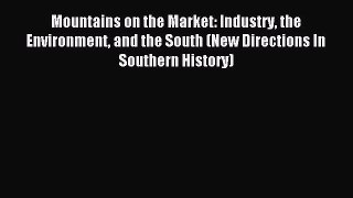 Read Mountains on the Market: Industry the Environment and the South (New Directions In Southern