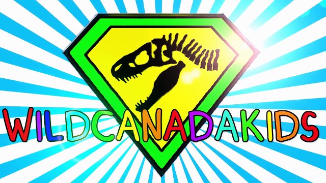 Finger Family Nursery Rhymes! Animal Finger Family Songs! Animals Finger Family Rhymes! Daddy Finger