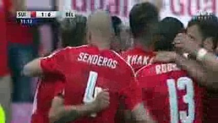 Switzerland vs Belgium 1-2 All Goals & Highlights 28-05-2016