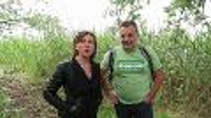 Bordeaux : action des écologistes sur les bords de Garonne