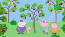 Peppa Pig. The Blackberry Bush. Mummy Pig and Daddy Pig and George Pig