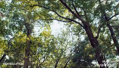 Over the Hedge (1998) - Theatrical Trailer