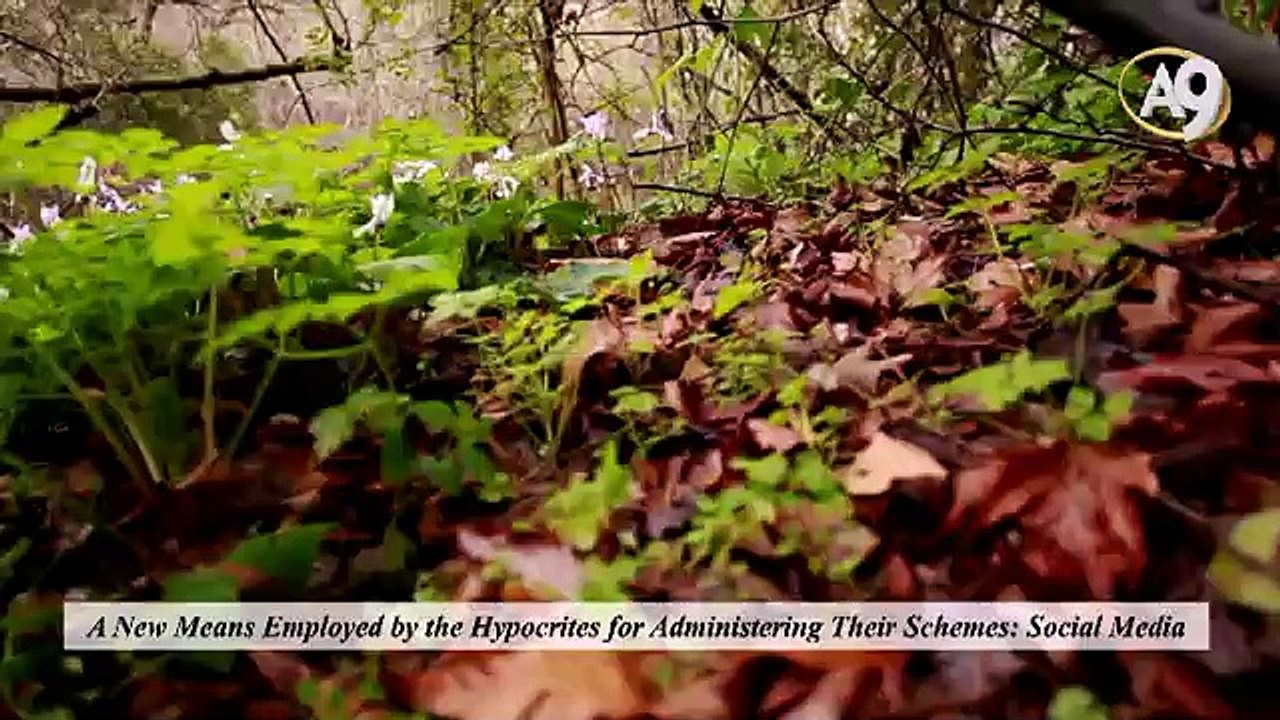 A New Means Employed by the Hypocrites for Administering Their Schemes: Social Media