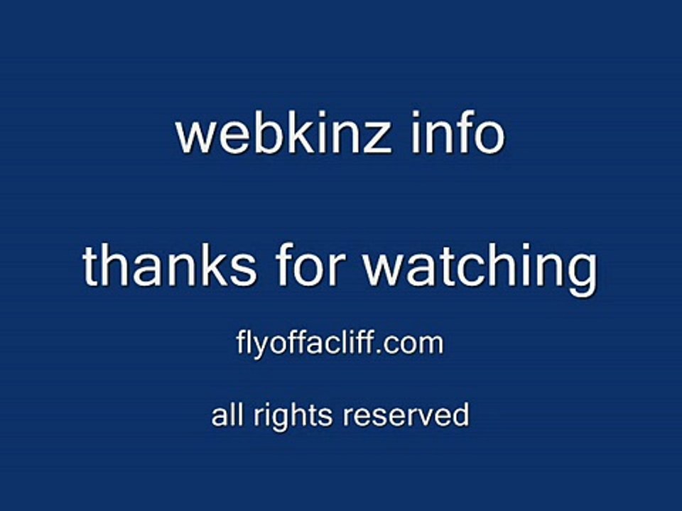 Webkinz Information