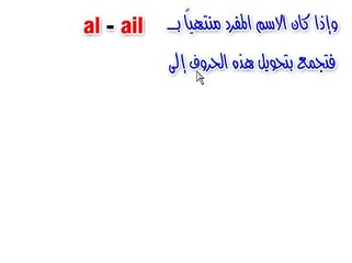 1-4-Le pluriel des noms et adjectifs_4