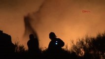 Bodrum'da Makilik Alandaki Yangın Korkuttu