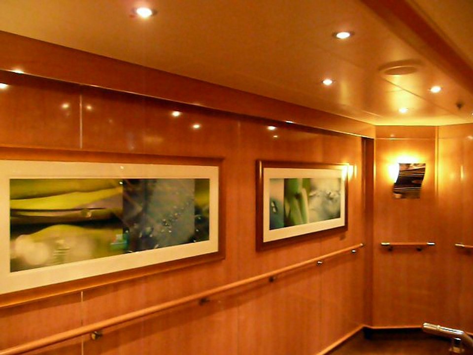 ROYAL 035 P1080765
