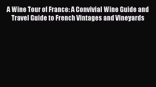 [Download] A Wine Tour of France: A Convivial Wine Guide and Travel Guide to French Vintages
