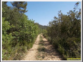 84 - Beaumont de Pertuis - MiniRandoCool - La grotte de St Eucher