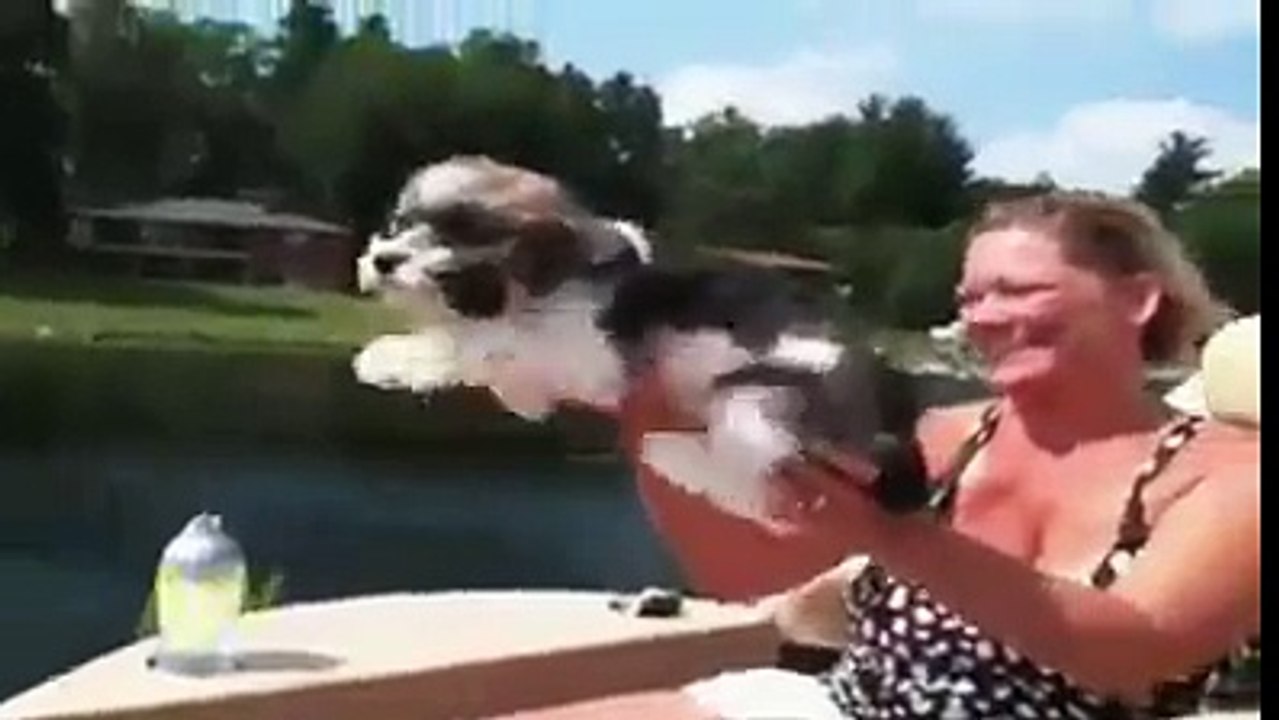 Funny Videos New | Best Funny Fail Compilation (2) 2016 |  funny Videos 2016