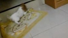 BABY - 2007-07-01