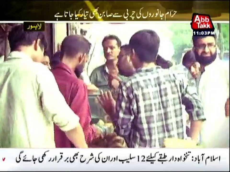 Pardah Fash - 28th May 2016