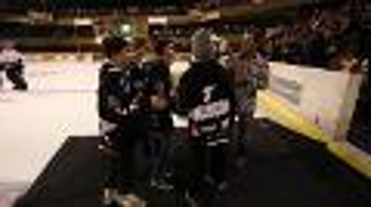 Serge le lama à la patinoire Bordeaux Mériadeck