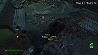 Fallout 4: Dogmeat healed by Knuckles