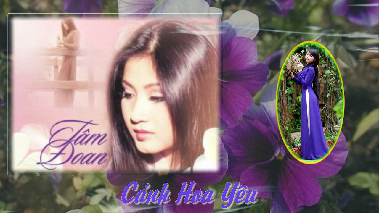 CÁNH HOA YÊU