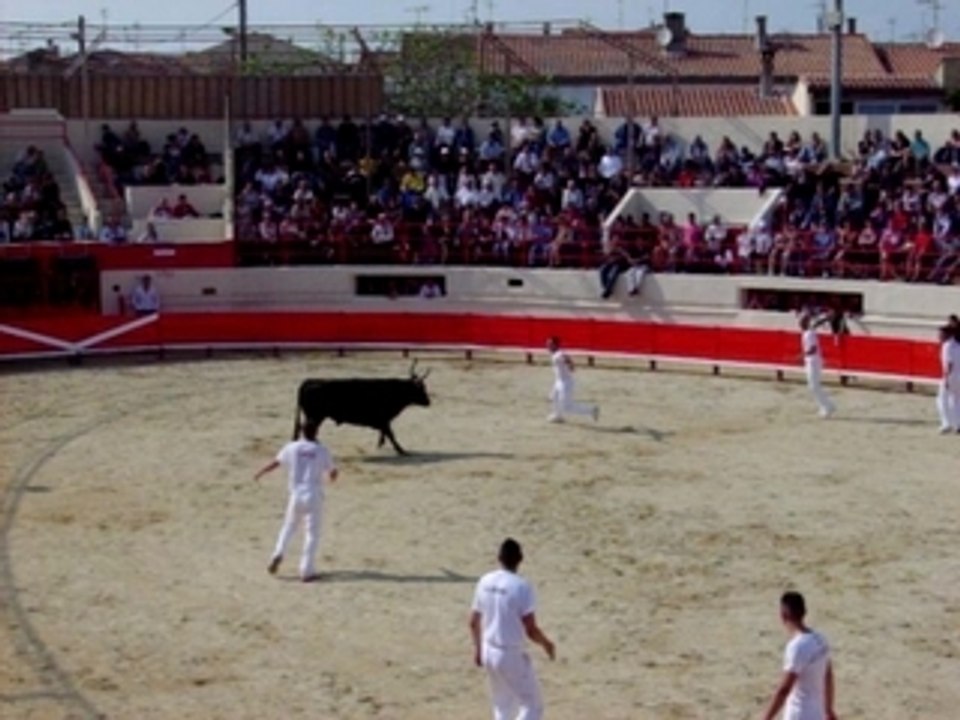 Royale NICOLLIN PEROLS 2007 VIRAT