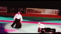 One Of The Best Aikido Demonstration  To Self Defense