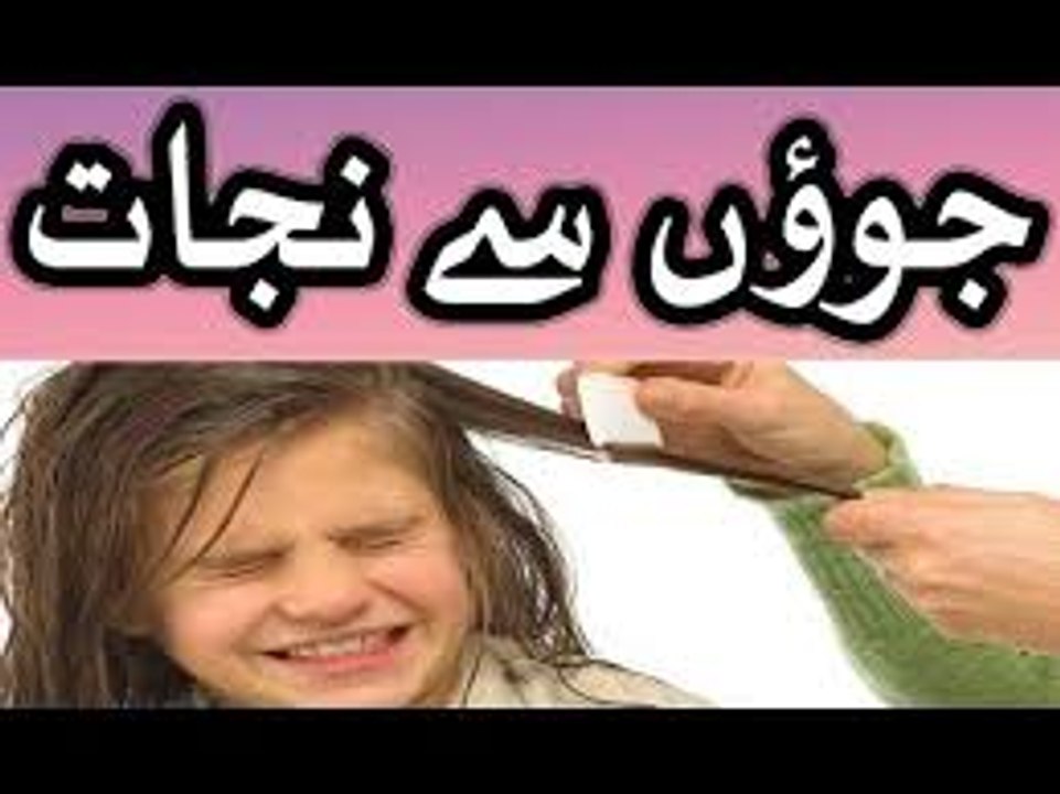 treatment of head lice - sar me ju ka ilaj in u...