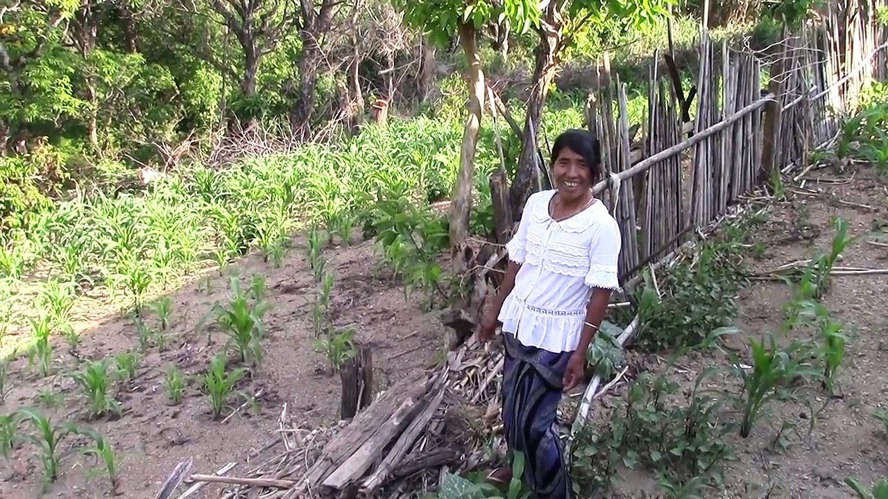 Siangaw Khua part 2