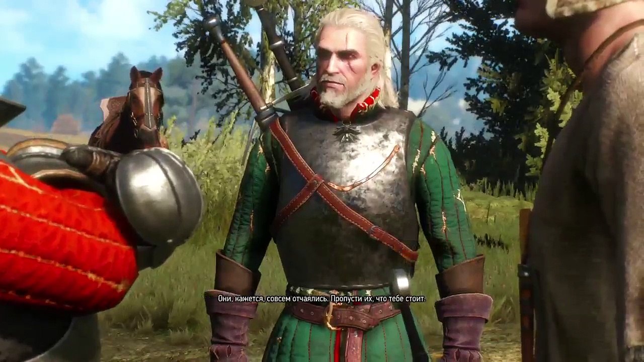 Witcher 3 (16)