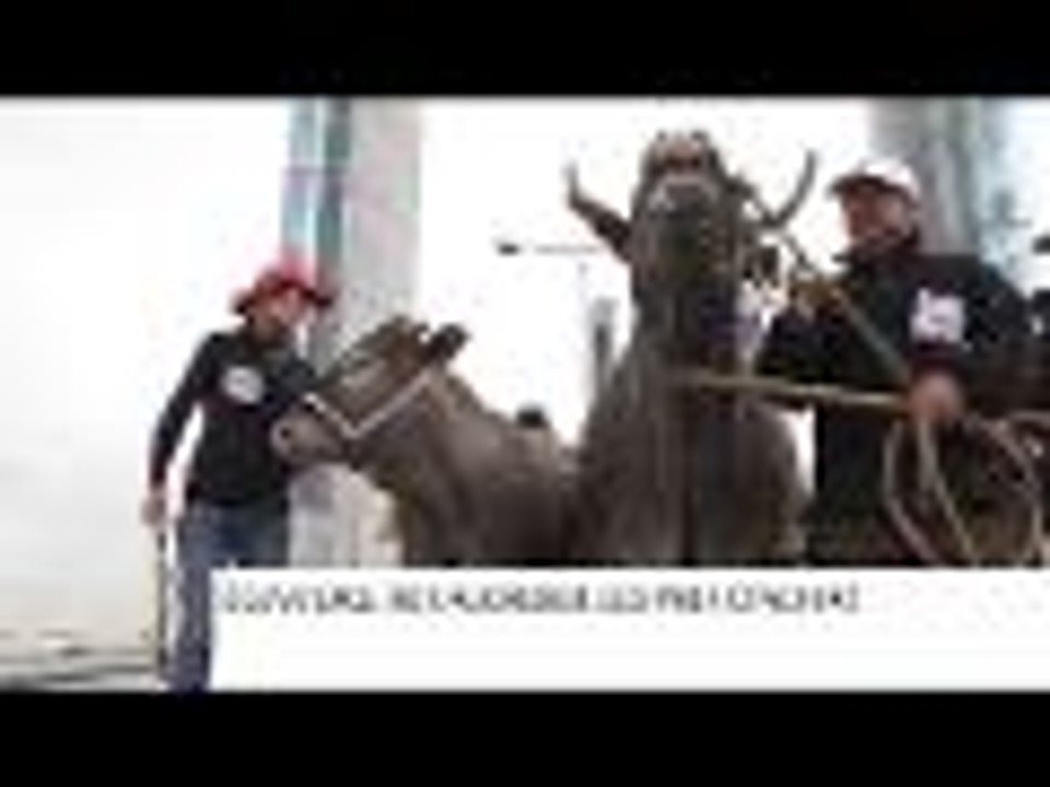 Agriculteurs : la colère monte