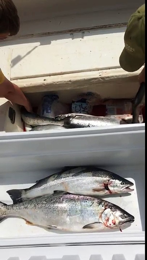 Salmon fishing