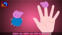 Peppa Pig Finger Family Animal Finger Family English Nursery Rhyme for Kids video snippet