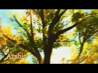 When somebody loved me - Toy Story 2 (Little multilanguage)