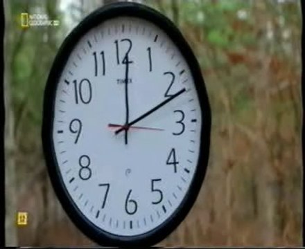 El silencio de las neuronas: Percepcion del movimiento