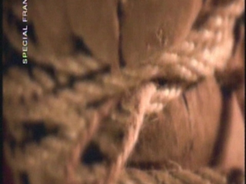 Video clip - Celine Dion - Pour que tu m'aime encore