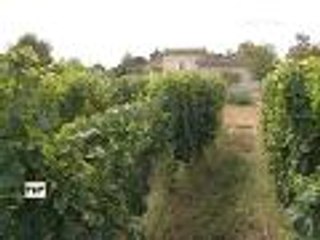 Classement Saint-Emilion : "les règles du jeu n'étaient pas connues à l'avance"