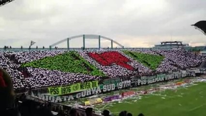 BCSxPSS1976 - PSS vs Persis [9 Juni 2013] - koreografi
