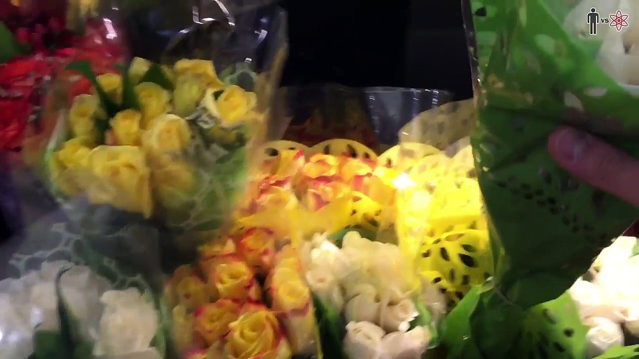 DIY Glow in the Dark Flowers - Man Vs Science #6