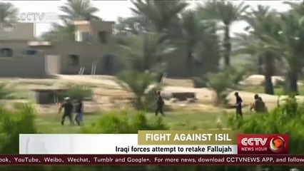 Iraqi forces attempt to retake Fallujah (1)
