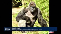 A three year old boy is rescued from the grip of a gorilla in Ohio Zoo