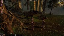 Dragon Age Origins - Decisions decisions and decisions