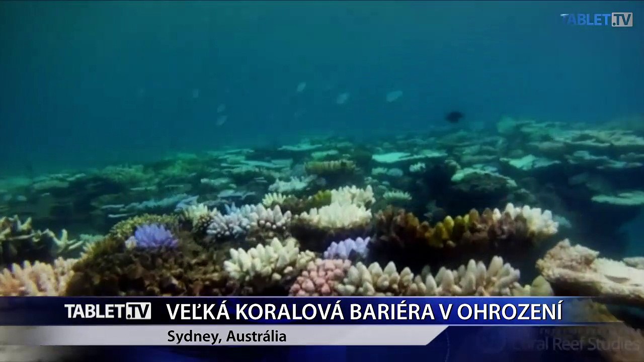 Rozsiahle časti Veľkej koralovej bariéry strácajú farbu  