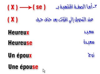 1-5-Le féminin des noms et adjectifs_2