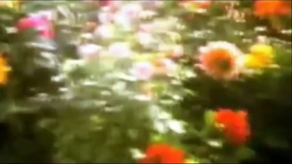 MAC DEMARCO (MAKEOUT VIDEOTAPE) - ON THE YANGTZE